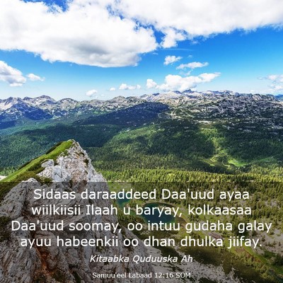 Picture 03 - Samuu'eel Labaad 12:16 SOM - Sidaas daraaddeed Daa'uud ayaa wiilkiisii Ilaah u - Bible Verse Picture