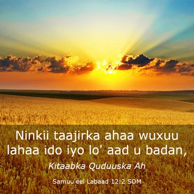 Picture 03 - Samuu'eel Labaad 12:2 SOM - Ninkii taajirka ahaa wuxuu lahaa ido iyo lo' aad - Bible Verse Picture