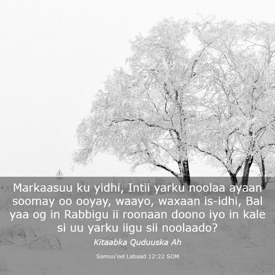 Picture 03 - Samuu'eel Labaad 12:22 SOM - Markaasuu ku yidhi, Intii yarku noolaa ayaan - Bible Verse Picture