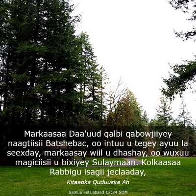 Picture 03 - Samuu'eel Labaad 12:24 SOM - Markaasaa Daa'uud qalbi qabowjiiyey naagtiisii - Bible Verse Picture