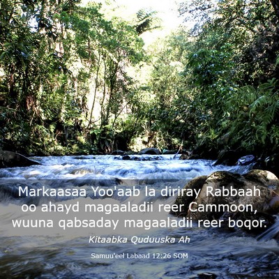 Picture 03 - Samuu'eel Labaad 12:26 SOM - Markaasaa Yoo'aab la diriray Rabbaah oo ahayd - Bible Verse Picture