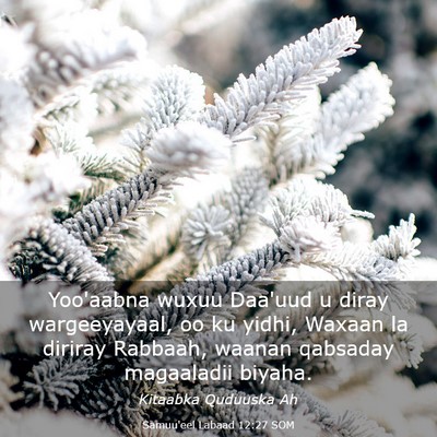 Picture 03 - Samuu'eel Labaad 12:27 SOM - Yoo'aabna wuxuu Daa'uud u diray wargeeyayaal, oo - Bible Verse Picture