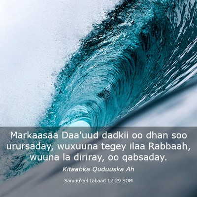 Picture 03 - Samuu'eel Labaad 12:29 SOM - Markaasaa Daa'uud dadkii oo dhan soo urursaday, - Bible Verse Picture