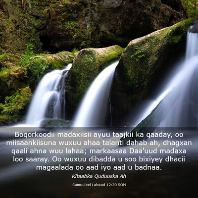 Picture 03 - Samuu'eel Labaad 12:30 SOM - Boqorkoodii madaxiisii ayuu taajkii ka qaaday, oo - Bible Verse Picture