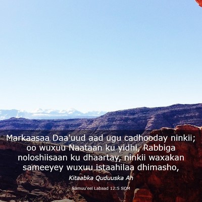 Picture 03 - Samuu'eel Labaad 12:5 SOM - Markaasaa Daa'uud aad ugu cadhooday ninkii; oo - Bible Verse Picture