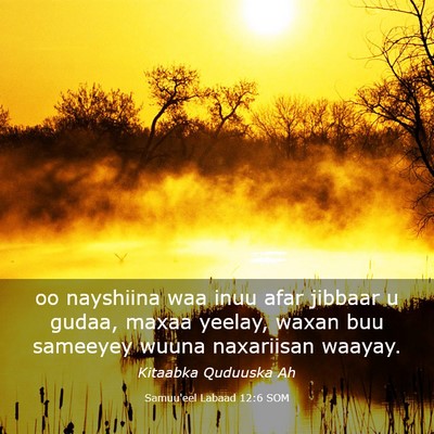 Picture 03 - Samuu'eel Labaad 12:6 SOM - oo nayshiina waa inuu afar jibbaar u gudaa, maxaa - Bible Verse Picture