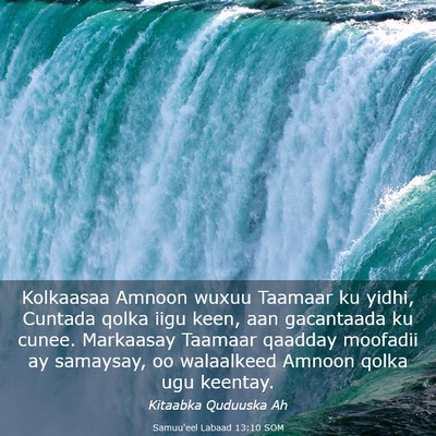 Picture 03 - Samuu'eel Labaad 13:10 SOM - Kolkaasaa Amnoon wuxuu Taamaar ku yidhi, Cuntada - Bible Verse Picture