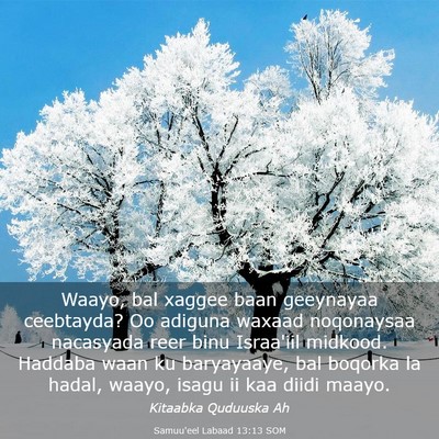 Picture 03 - Samuu'eel Labaad 13:13 SOM - Waayo, bal xaggee baan geeynayaa ceebtayda? Oo - Bible Verse Picture