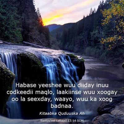 Picture 03 - Samuu'eel Labaad 13:14 SOM - Habase yeeshee wuu diiday inuu codkeedii maqlo, - Bible Verse Picture