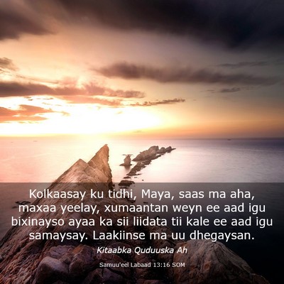 Picture 03 - Samuu'eel Labaad 13:16 SOM - Kolkaasay ku tidhi, Maya, saas ma aha, maxaa - Bible Verse Picture