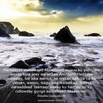 Picture 03 - Samuu'eel Labaad 13:20 SOM - Markaasaa walaalkeed Absaaloom wuxuu ku yidhi, Ma - Bible Verse Picture
