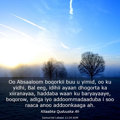 Picture 03 - Samuu'eel Labaad 13:24 SOM - Oo Absaaloom boqorkii buu u yimid, oo ku yidhi, - Bible Verse Picture