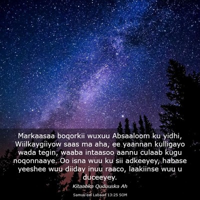 Picture 03 - Samuu'eel Labaad 13:25 SOM - Markaasaa boqorkii wuxuu Absaaloom ku yidhi, - Bible Verse Picture