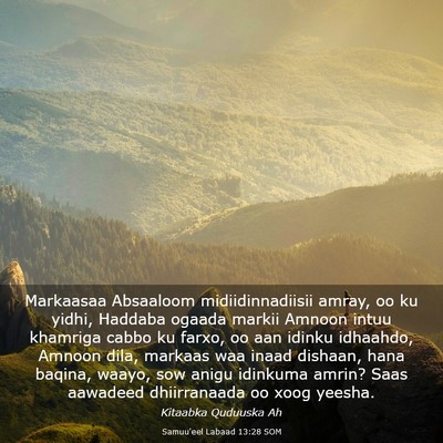 Picture 03 - Samuu'eel Labaad 13:28 SOM - Markaasaa Absaaloom midiidinnadiisii amray, oo ku - Bible Verse Picture