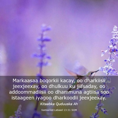 Picture 03 - Samuu'eel Labaad 13:31 SOM - Markaasaa boqorkii kacay, oo dharkiisii - Bible Verse Picture