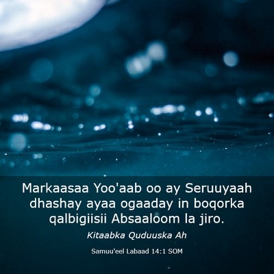Picture 03 - Samuu'eel Labaad 14:1 SOM - Markaasaa Yoo'aab oo ay Seruuyaah dhashay ayaa - Bible Verse Picture