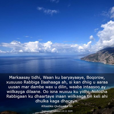 Picture 03 - Samuu'eel Labaad 14:11 SOM - Markaasay tidhi, Waan ku baryayaaye, Boqorow, - Bible Verse Picture