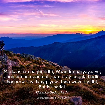 Picture 03 - Samuu'eel Labaad 14:12 SOM - Markaasaa naagtii tidhi, Waan ku baryayaaye, anoo - Bible Verse Picture