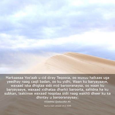 Picture 03 - Samuu'eel Labaad 14:2 SOM - Markaasaa Yoo'aab u cid diray Teqooca, oo wuxuu - Bible Verse Picture