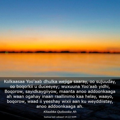 Picture 03 - Samuu'eel Labaad 14:22 SOM - Kolkaasaa Yoo'aab dhulka wejiga saaray, oo - Bible Verse Picture