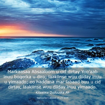 Picture 03 - Samuu'eel Labaad 14:29 SOM - Markaasaa Absaaloom u cid dirtay Yoo'aab inuu - Bible Verse Picture