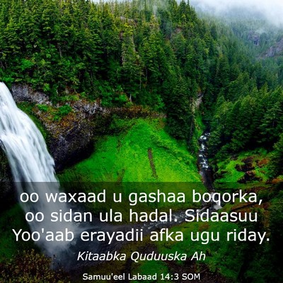 Picture 03 - Samuu'eel Labaad 14:3 SOM - oo waxaad u gashaa boqorka, oo sidan ula hadal. - Bible Verse Picture