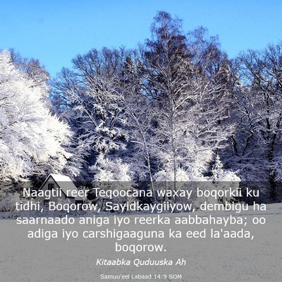 Picture 03 - Samuu'eel Labaad 14:9 SOM - Naagtii reer Teqoocana waxay boqorkii ku tidhi, - Bible Verse Picture