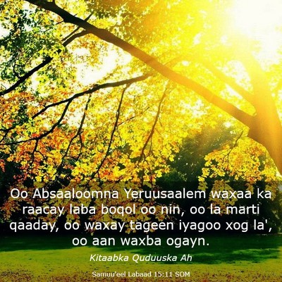 Picture 03 - Samuu'eel Labaad 15:11 SOM - Oo Absaaloomna Yeruusaalem waxaa ka raacay laba - Bible Verse Picture