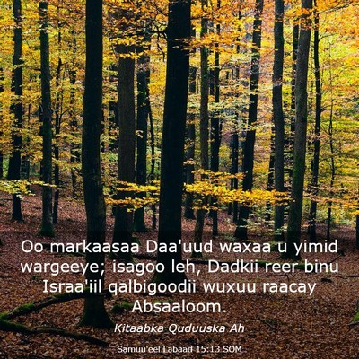 Picture 03 - Samuu'eel Labaad 15:13 SOM - Oo markaasaa Daa'uud waxaa u yimid wargeeye; - Bible Verse Picture