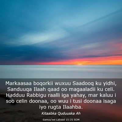 Picture 03 - Samuu'eel Labaad 15:25 SOM - Markaasaa boqorkii wuxuu Saadooq ku yidhi, - Bible Verse Picture