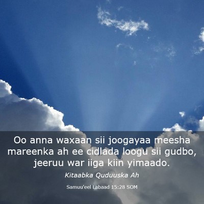 Picture 03 - Samuu'eel Labaad 15:28 SOM - Oo anna waxaan sii joogayaa meesha mareenka ah ee - Bible Verse Picture