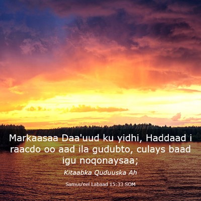 Picture 03 - Samuu'eel Labaad 15:33 SOM - Markaasaa Daa'uud ku yidhi, Haddaad i raacdo oo - Bible Verse Picture