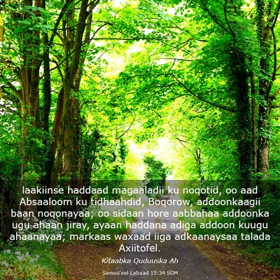 Picture 03 - Samuu'eel Labaad 15:34 SOM - laakiinse haddaad magaaladii ku noqotid, oo aad - Bible Verse Picture