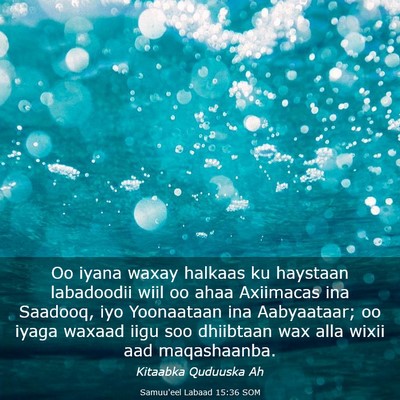 Picture 03 - Samuu'eel Labaad 15:36 SOM - Oo iyana waxay halkaas ku haystaan labadoodii - Bible Verse Picture