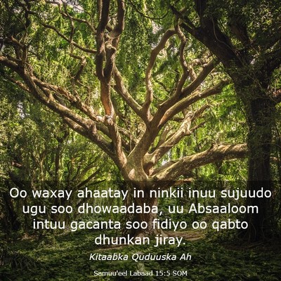 Picture 03 - Samuu'eel Labaad 15:5 SOM - Oo waxay ahaatay in ninkii inuu sujuudo ugu soo - Bible Verse Picture