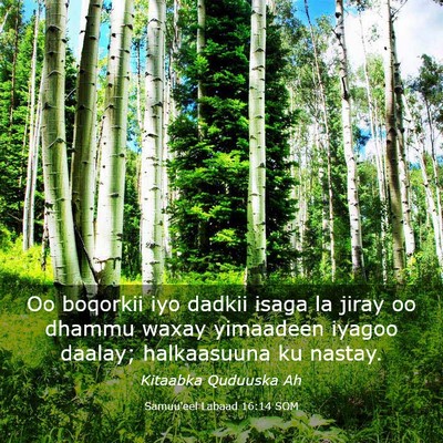 Picture 03 - Samuu'eel Labaad 16:14 SOM - Oo boqorkii iyo dadkii isaga la jiray oo dhammu - Bible Verse Picture