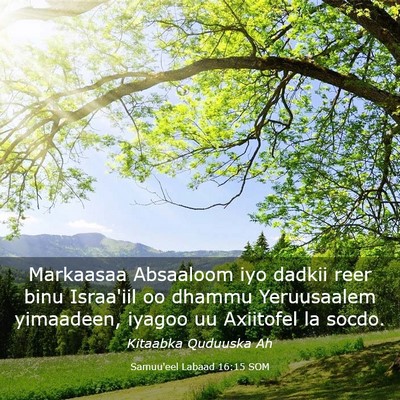 Picture 03 - Samuu'eel Labaad 16:15 SOM - Markaasaa Absaaloom iyo dadkii reer binu - Bible Verse Picture