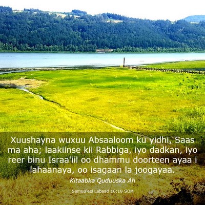 Picture 03 - Samuu'eel Labaad 16:18 SOM - Xuushayna wuxuu Absaaloom ku yidhi, Saas ma aha; - Bible Verse Picture