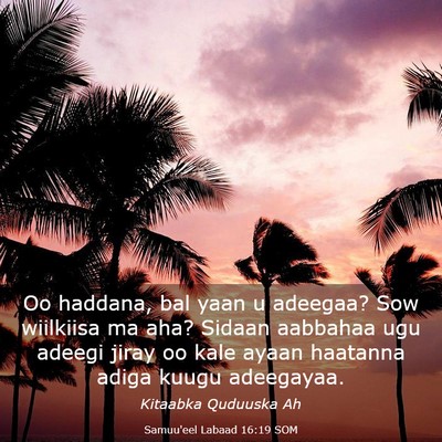 Picture 03 - Samuu'eel Labaad 16:19 SOM - Oo haddana, bal yaan u adeegaa? Sow wiilkiisa ma - Bible Verse Picture