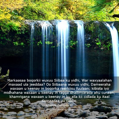 Picture 03 - Samuu'eel Labaad 16:2 SOM - Markaasaa boqorkii wuxuu Siibaa ku yidhi, War - Bible Verse Picture