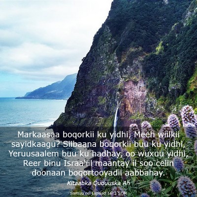 Picture 03 - Samuu'eel Labaad 16:3 SOM - Markaasaa boqorkii ku yidhi, Meeh wiilkii - Bible Verse Picture
