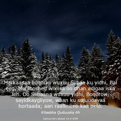 Picture 03 - Samuu'eel Labaad 16:4 SOM - Markaasaa boqorkii wuxuu Siibaa ku yidhi, Bal - Bible Verse Picture