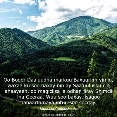 Picture 03 - Samuu'eel Labaad 16:5 SOM - Oo Boqor Daa'uudna markuu Baxuuriim yimid, waxaa - Bible Verse Picture