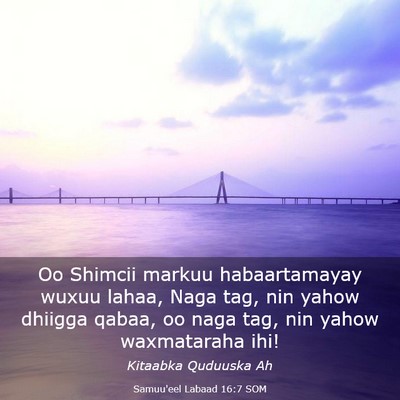 Picture 03 - Samuu'eel Labaad 16:7 SOM - Oo Shimcii markuu habaartamayay wuxuu lahaa, Naga - Bible Verse Picture