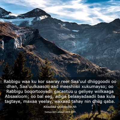 Picture 03 - Samuu'eel Labaad 16:8 SOM - Rabbigu waa ku kor saaray reer Saa'uul - Bible Verse Picture