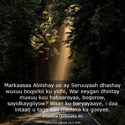 Picture 03 - Samuu'eel Labaad 16:9 SOM - Markaasaa Abiishay oo ay Seruuyaah dhashay wuxuu - Bible Verse Picture
