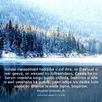 Picture 03 - Samuu'eel Labaad 17:16 SOM - Sidaas daraaddeed haddiiba u cid dira, oo Daa'uud - Bible Verse Picture