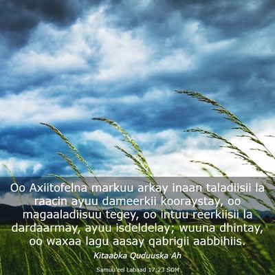 Picture 03 - Samuu'eel Labaad 17:23 SOM - Oo Axiitofelna markuu arkay inaan taladiisii la - Bible Verse Picture