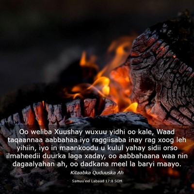 Picture 03 - Samuu'eel Labaad 17:8 SOM - Oo weliba Xuushay wuxuu yidhi oo kale, Waad - Bible Verse Picture