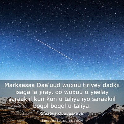 Picture 03 - Samuu'eel Labaad 18:1 SOM - Markaasaa Daa'uud wuxuu tiriyey dadkii isaga la - Bible Verse Picture